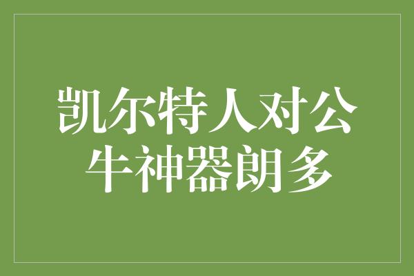 公牛队！神奇对决！凯尔特人对公牛神器朗多