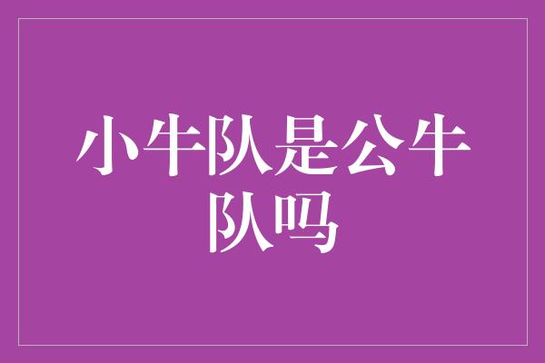 小牛队是公牛队吗