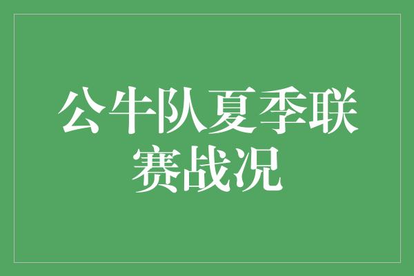 公牛队夏季联赛战况