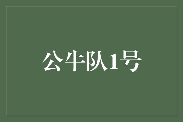 公牛队！公牛队1号 打破枷锁，闪耀篮球舞台