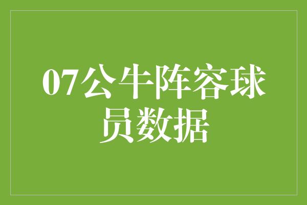 07公牛阵容球员数据