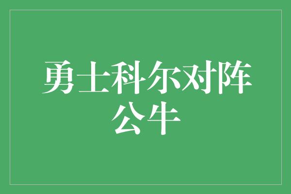 勇士科尔对阵公牛