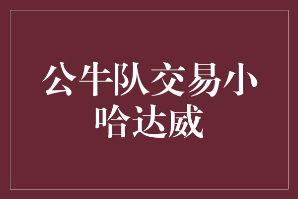 公牛队交易小哈达威