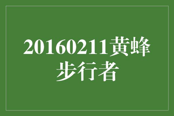 紧张！20160211黄蜂步行者 - 一场激动人心的篮球对决