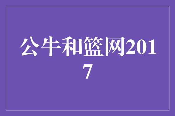 公牛和篮网2017