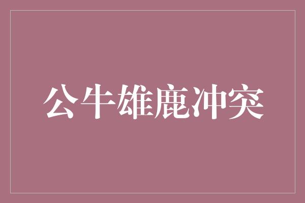 斗志！公牛雄鹿冲突 体育精神的较量与友谊的升华