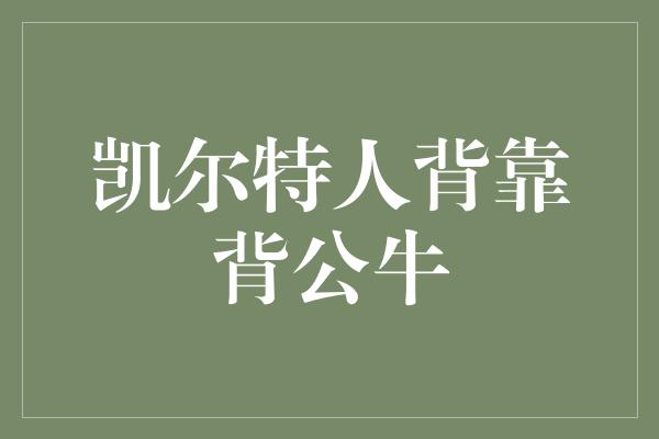 凯尔特人背靠背公牛