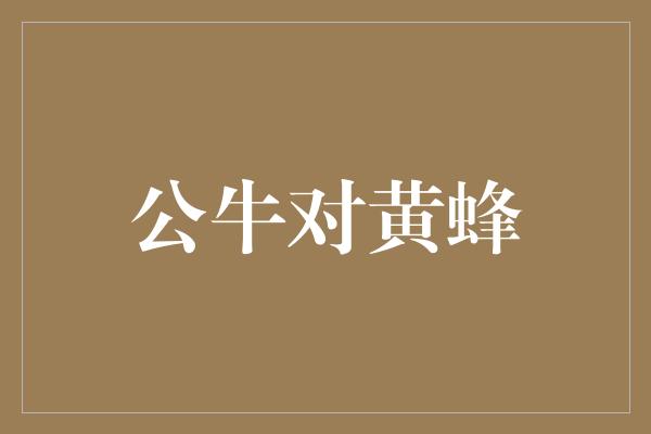 公牛队！激战在即！公牛与黄蜂将上演篮球巅峰对决