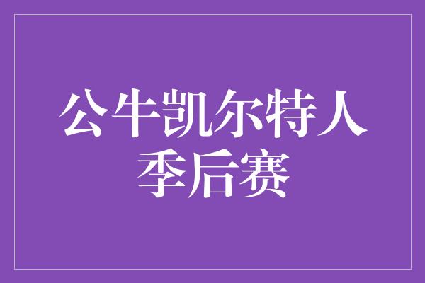 公牛凯尔特人季后赛