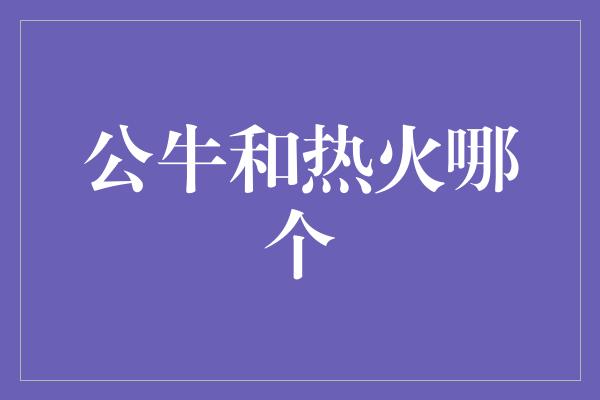 公牛和热火哪个