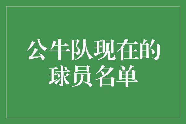 公牛队现在的球员名单