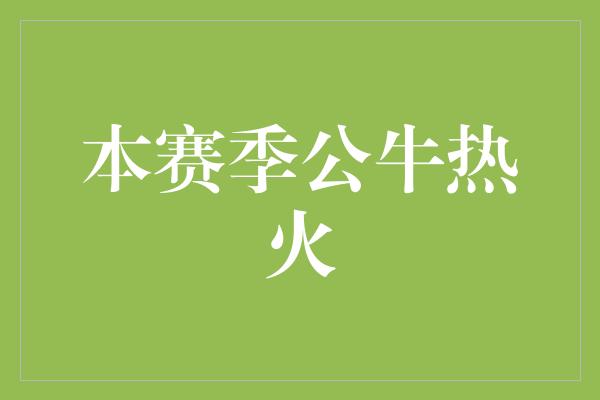 本赛季公牛热火