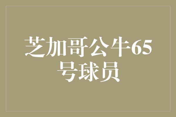 芝加哥公牛65号球员