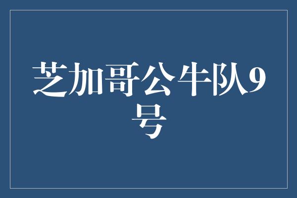 芝加哥公牛队9号