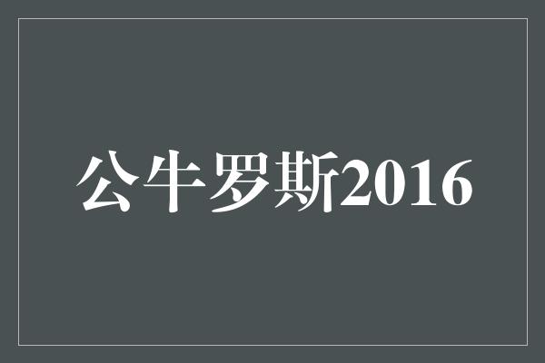 公牛罗斯2016