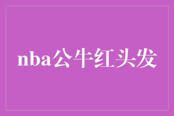 nba公牛红头发