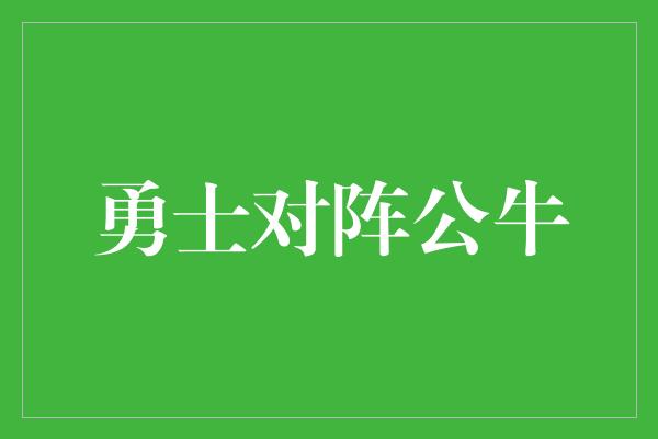 勇士对阵公牛