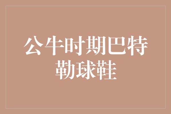 公牛队！巴特勒的公牛时代留下的传世之作——巴特勒球鞋