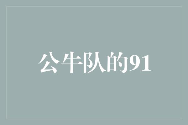 公牛队的91