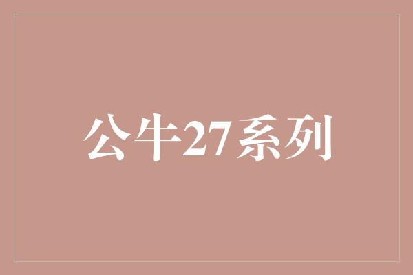公牛27系列