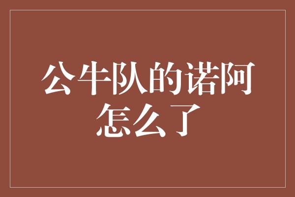 公牛队的诺阿怎么了