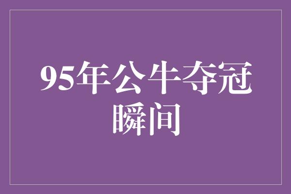 95年公牛夺冠瞬间