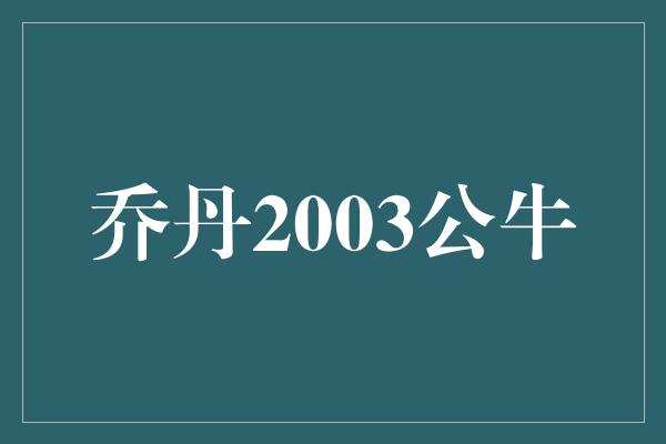 公牛队！乔丹2003公牛-传奇再续 新篇章