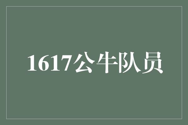 1617公牛队员