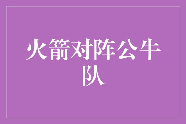 火箭对阵公牛队