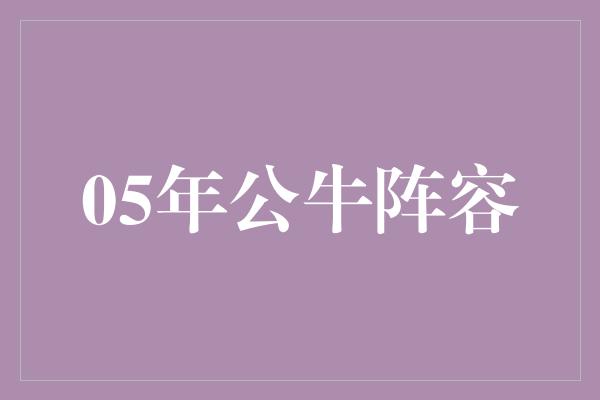 05年公牛阵容