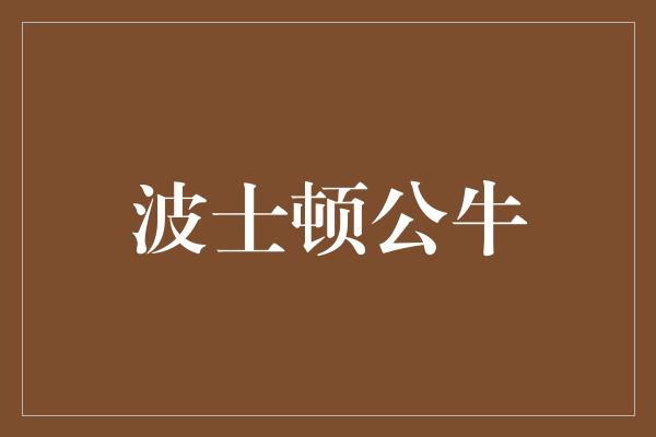 公牛队！勇往直前，波士顿公牛重焕荣耀