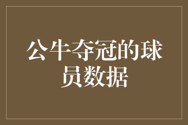 公牛夺冠的球员数据