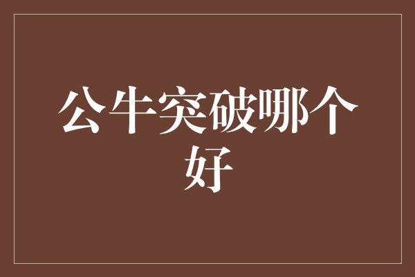 应对！公牛突破哪个好，打造强大的团队合作精神