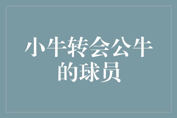 小牛转会公牛的球员