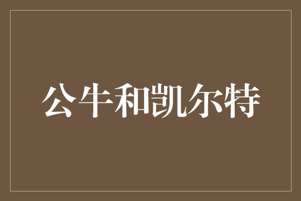 公牛和凯尔特