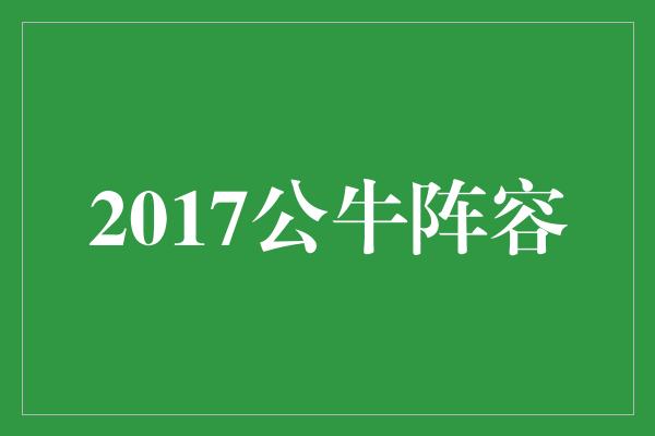 2017公牛阵容