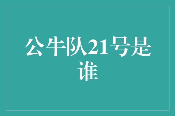 公牛队21号是谁