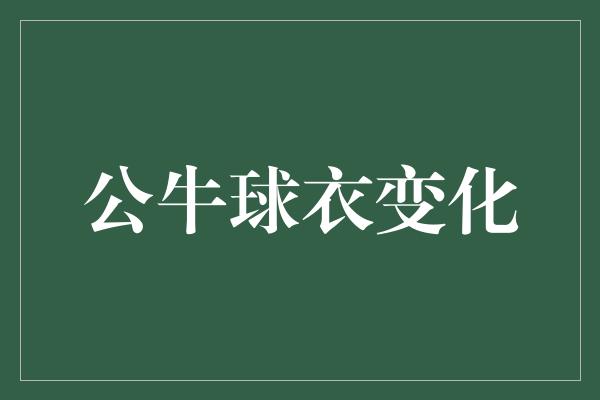 公牛球衣变化