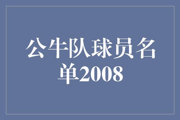 公牛队球员名单2008
