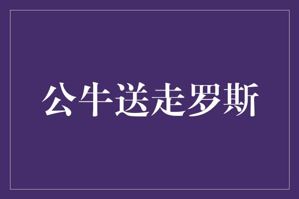 公牛送走罗斯