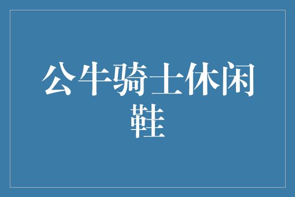 公牛骑士休闲鞋